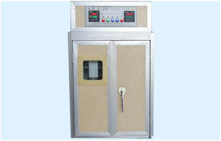 Incubateur 300 œufs